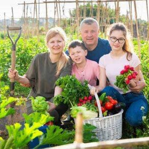 Egyértelműen javul a magyar mezőgazdaság versenyképessége 